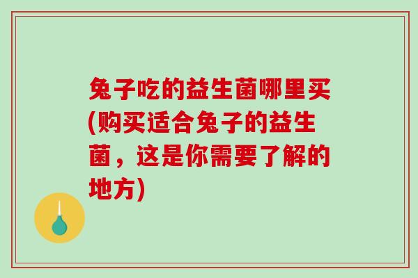 兔子吃的益生菌哪里买(购买适合兔子的益生菌，这是你需要了解的地方)