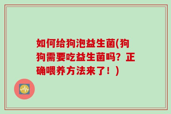 如何给狗泡益生菌(狗狗需要吃益生菌吗？正确喂养方法来了！)