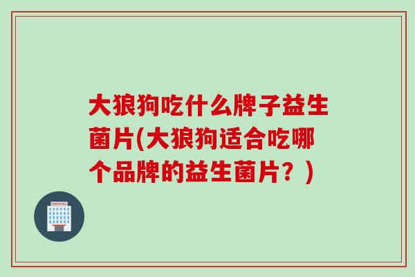 大狼狗吃什么牌子益生菌片(大狼狗适合吃哪个品牌的益生菌片？)