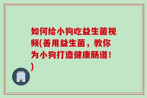 如何给小狗吃益生菌视频(善用益生菌，教你为小狗打造健康肠道！)