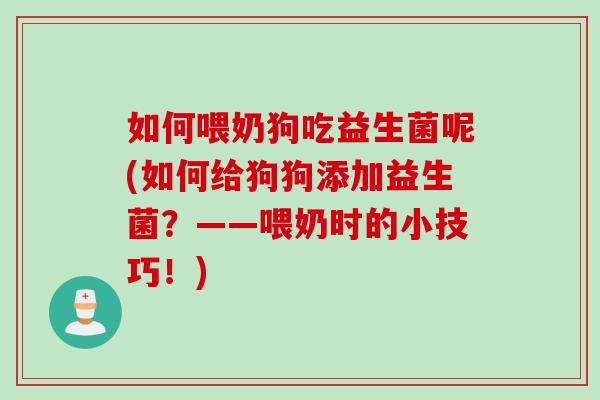 如何喂奶狗吃益生菌呢(如何给狗狗添加益生菌？——喂奶时的小技巧！)