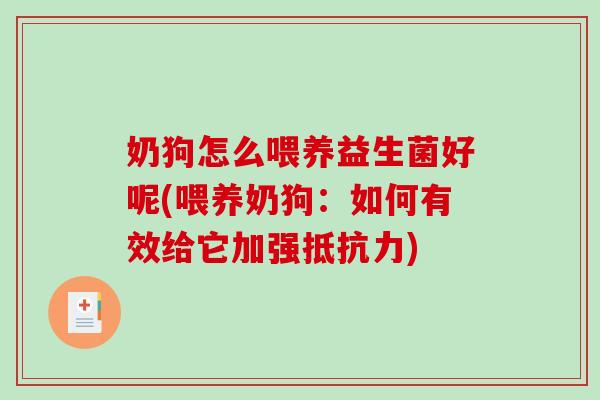奶狗怎么喂养益生菌好呢(喂养奶狗：如何有效给它加强抵抗力)