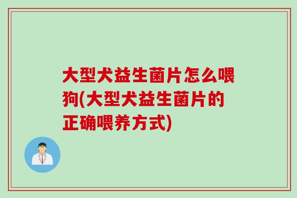 大型犬益生菌片怎么喂狗(大型犬益生菌片的正确喂养方式)