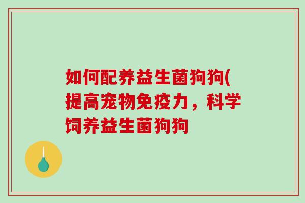 如何配养益生菌狗狗(提高宠物免疫力，科学饲养益生菌狗狗