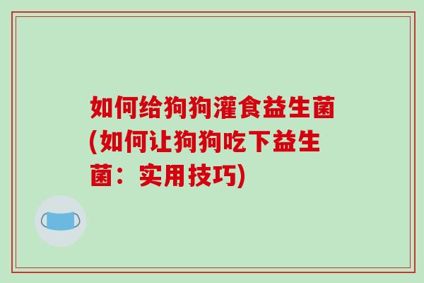 如何给狗狗灌食益生菌(如何让狗狗吃下益生菌：实用技巧)