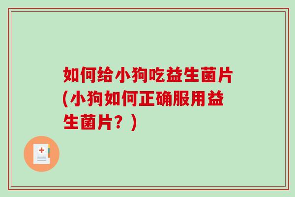 如何给小狗吃益生菌片(小狗如何正确服用益生菌片？)