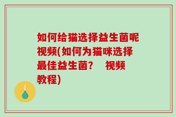 如何给猫选择益生菌呢视频(如何为猫咪选择最佳益生菌？  视频教程)