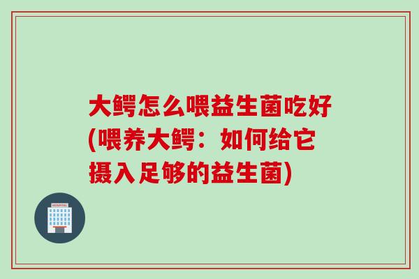 大鳄怎么喂益生菌吃好(喂养大鳄：如何给它摄入足够的益生菌)