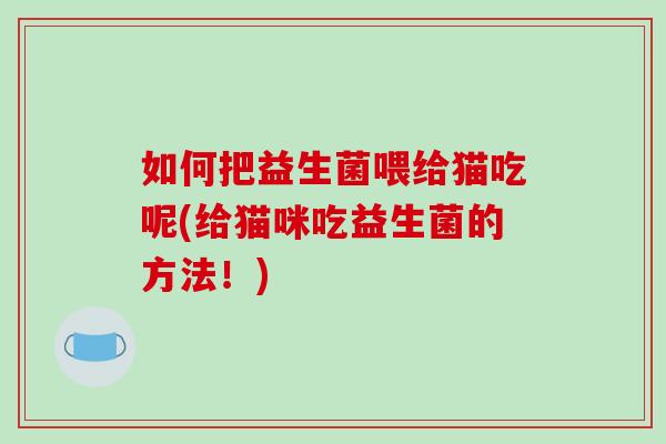 如何把益生菌喂给猫吃呢(给猫咪吃益生菌的方法！)