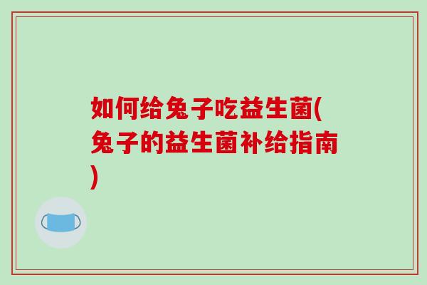 如何给兔子吃益生菌(兔子的益生菌补给指南)