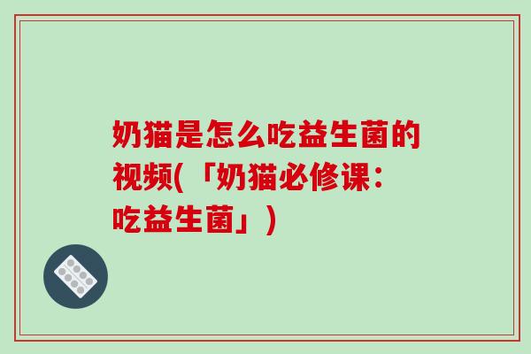 奶猫是怎么吃益生菌的视频(「奶猫必修课：吃益生菌」)