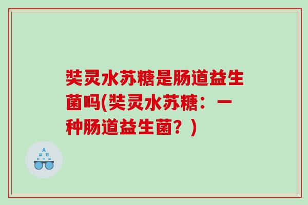 奘灵水苏糖是肠道益生菌吗(奘灵水苏糖：一种肠道益生菌？)