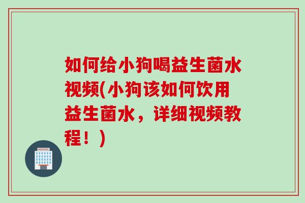 如何给小狗喝益生菌水视频(小狗该如何饮用益生菌水，详细视频教程！)