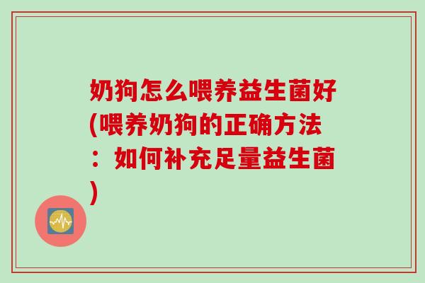 奶狗怎么喂养益生菌好(喂养奶狗的正确方法：如何补充足量益生菌)