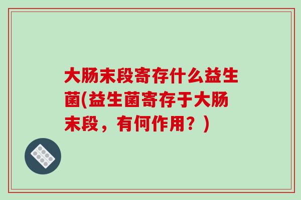 大肠末段寄存什么益生菌(益生菌寄存于大肠末段,有何作用?) 大肠末段寄存什么益生菌(益生菌寄存于大肠末段,有何作用?)