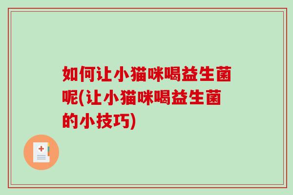 如何让小猫咪喝益生菌呢(让小猫咪喝益生菌的小技巧)