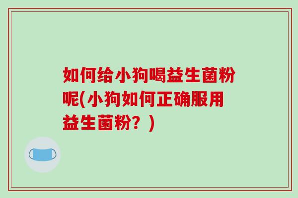 如何给小狗喝益生菌粉呢(小狗如何正确服用益生菌粉？)