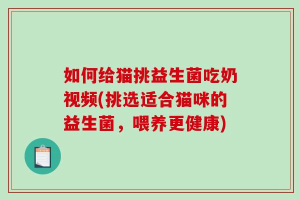 如何给猫挑益生菌吃奶视频(挑选适合猫咪的益生菌，喂养更健康)