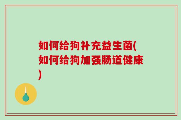 如何给狗补充益生菌(如何给狗加强肠道健康)