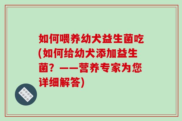 如何喂养幼犬益生菌吃(如何给幼犬添加益生菌？——营养专家为您详细解答)