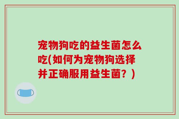 宠物狗吃的益生菌怎么吃(如何为宠物狗选择并正确服用益生菌？)