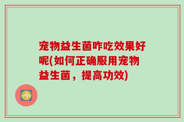 宠物益生菌咋吃效果好呢(如何正确服用宠物益生菌，提高功效)