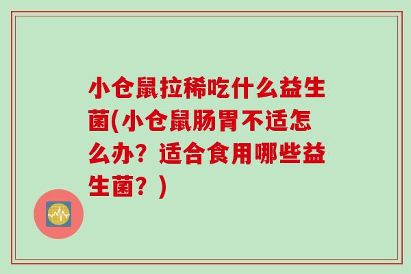 小仓鼠拉稀吃什么益生菌(小仓鼠肠胃不适怎么办？适合食用哪些益生菌？)