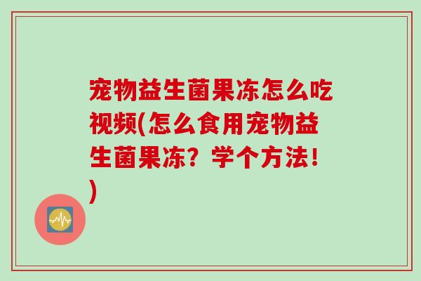 宠物益生菌果冻怎么吃视频(怎么食用宠物益生菌果冻？学个方法！)