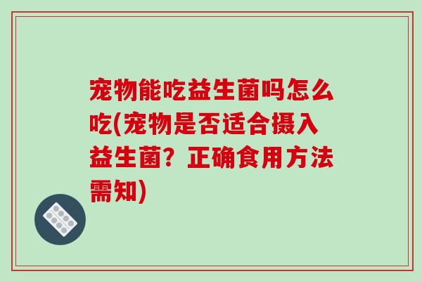 宠物能吃益生菌吗怎么吃(宠物是否适合摄入益生菌？正确食用方法需知)