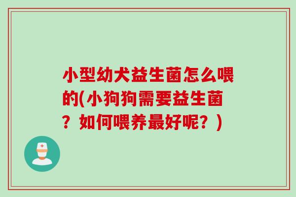 小型幼犬益生菌怎么喂的(小狗狗需要益生菌？如何喂养最好呢？)