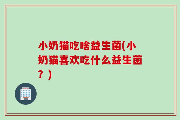 小奶猫吃啥益生菌(小奶猫喜欢吃什么益生菌？)