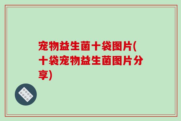 宠物益生菌十袋图片(十袋宠物益生菌图片分享)