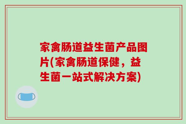 家禽肠道益生菌产品图片(家禽肠道保健，益生菌一站式解决方案)