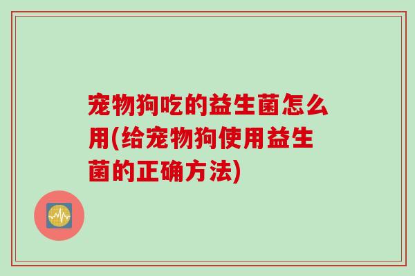 宠物狗吃的益生菌怎么用(给宠物狗使用益生菌的正确方法)