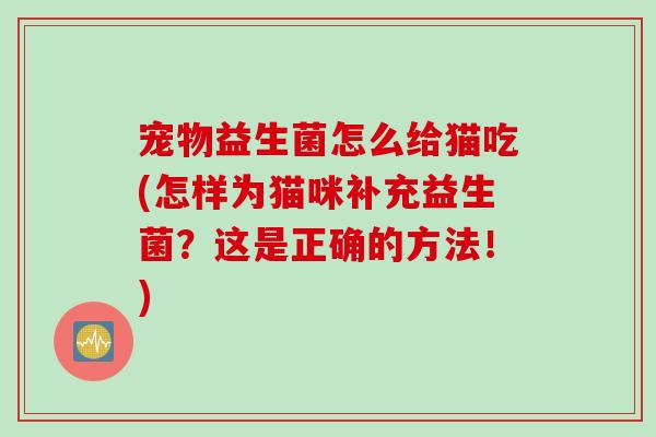 宠物益生菌怎么给猫吃(怎样为猫咪补充益生菌？这是正确的方法！)
