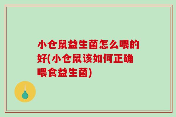 小仓鼠益生菌怎么喂的好(小仓鼠该如何正确喂食益生菌)