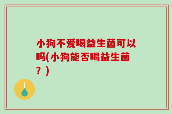 小狗不爱喝益生菌可以吗(小狗能否喝益生菌？)