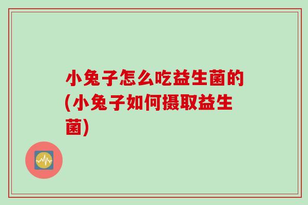 小兔子怎么吃益生菌的(小兔子如何摄取益生菌)