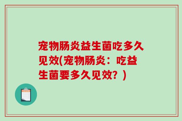 宠物肠炎益生菌吃多久见效(宠物肠炎：吃益生菌要多久见效？)