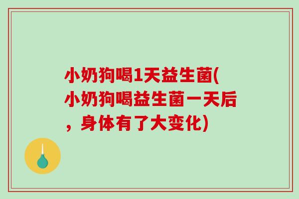 小奶狗喝1天益生菌(小奶狗喝益生菌一天后，身体有了大变化)