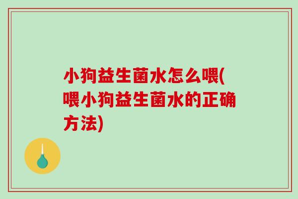 小狗益生菌水怎么喂(喂小狗益生菌水的正确方法)