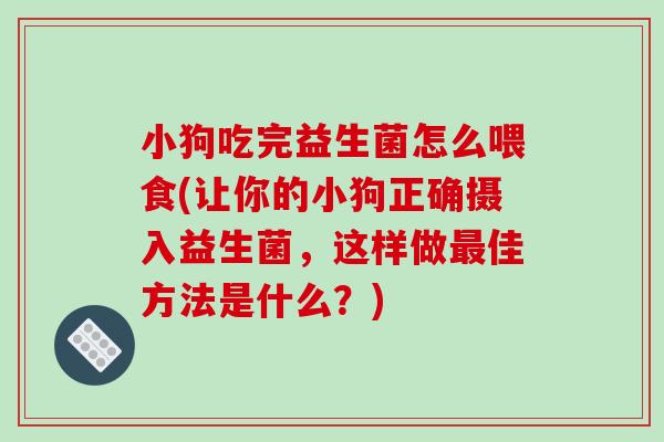 小狗吃完益生菌怎么喂食(让你的小狗正确摄入益生菌，这样做最佳方法是什么？)