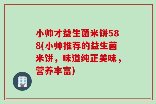 小帅才益生菌米饼588(小帅推荐的益生菌米饼，味道纯正美味，营养丰富)