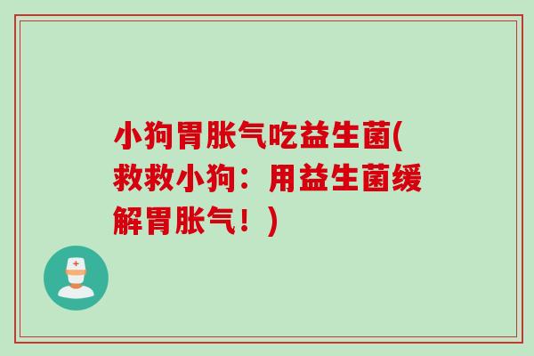 小狗胃吃益生菌(救救小狗:用益生菌缓解胃!) 小狗胃吃益生菌(救救小狗:用益生菌缓解胃!)