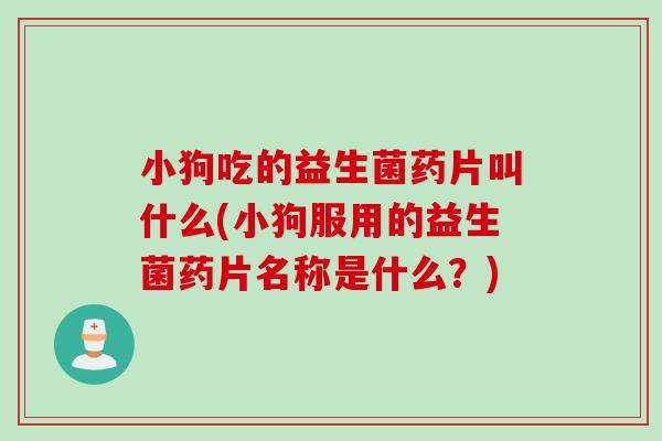 小狗吃的益生菌药片叫什么(小狗服用的益生菌药片名称是什么？)