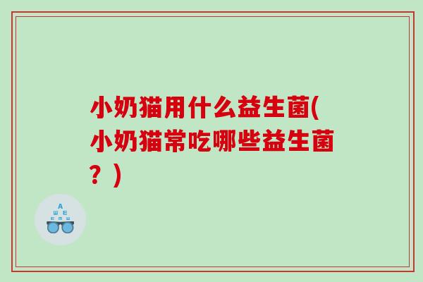 小奶猫用什么益生菌(小奶猫常吃哪些益生菌？)