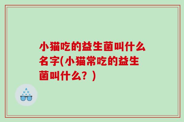 小猫吃的益生菌叫什么名字(小猫常吃的益生菌叫什么？)