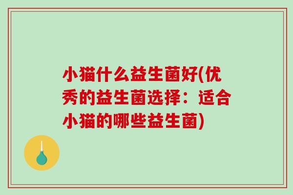 小猫什么益生菌好(优秀的益生菌选择：适合小猫的哪些益生菌)