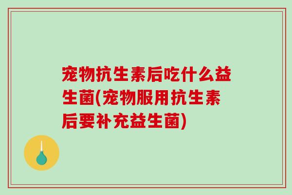 宠物抗生素后吃什么益生菌(宠物服用抗生素后要补充益生菌)