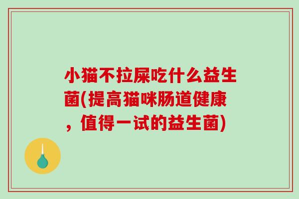 小猫不拉屎吃什么益生菌(提高猫咪肠道健康，值得一试的益生菌)